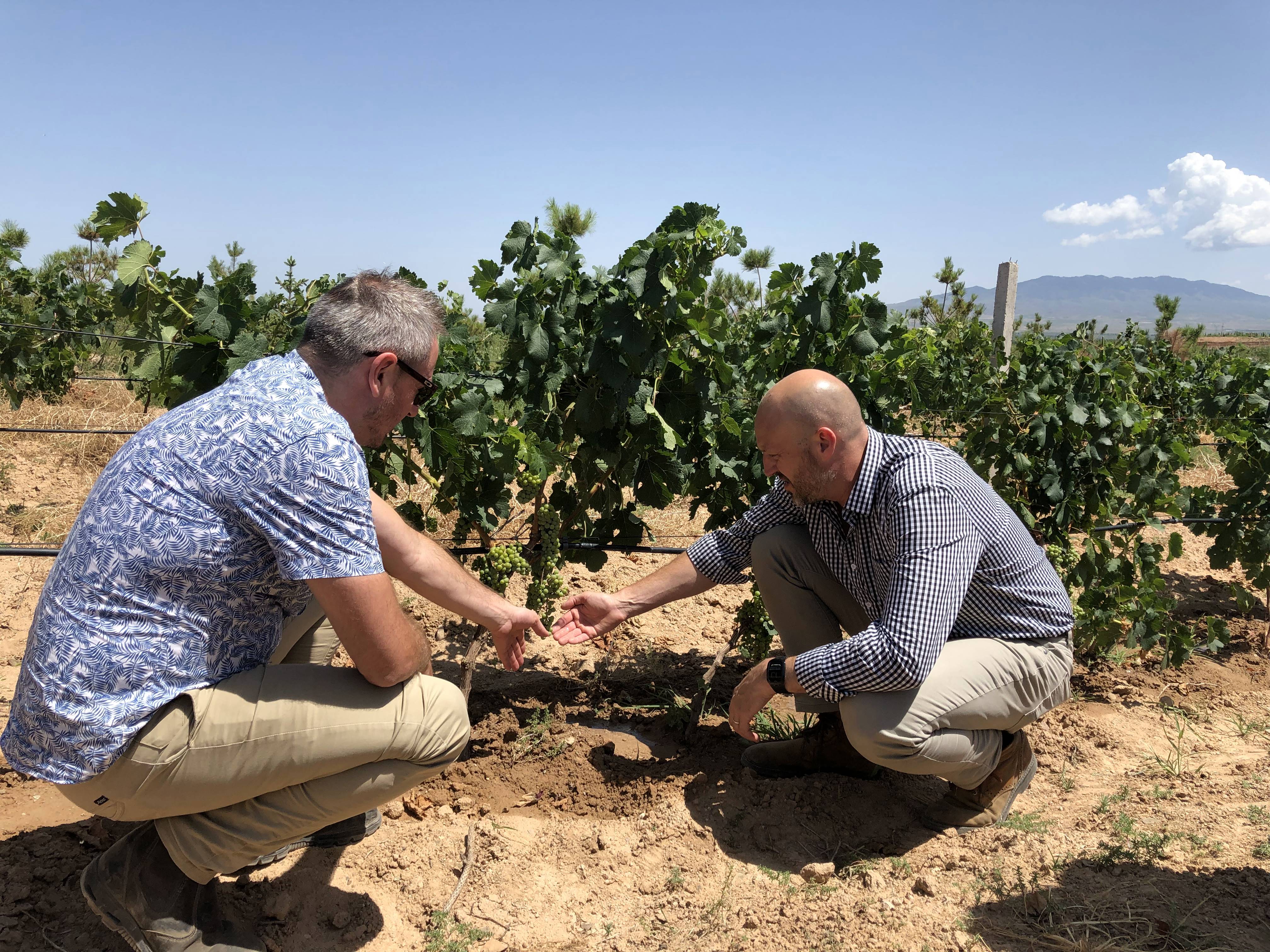 ABUIABACGAAgjdLwkQYo9rC5hwQwwB840Bc